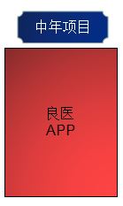 良医